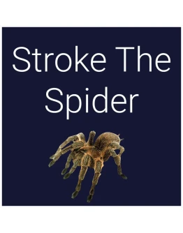 Stroke The Spider PS4 & PS5 Stroke The Spider PS4 & PS5