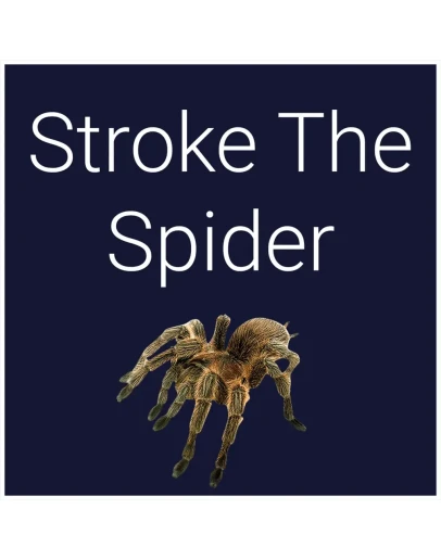 Stroke The Spider PS4 &amp PS5