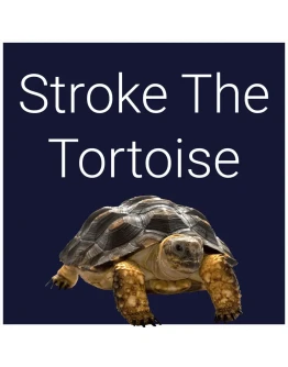 Stroke The Tortoise PS5 Stroke The Tortoise PS5