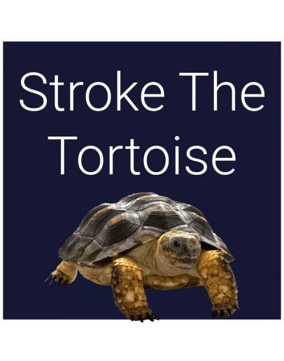 Stroke The Tortoise PS5 Stroke The Tortoise PS5