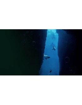 Submersed PS4 & PS5 Submersed PS4 & PS5