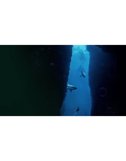 Submersed PS4 &amp PS5