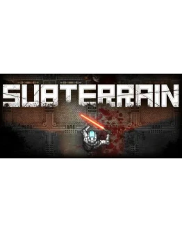 SubterrainRegion freeSteam KeyАвтовыдача