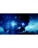 Ori and Blind Forest: Definitive XBOX КОД КЛЮЧ