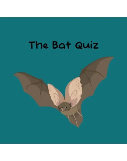 The Bat Quiz PS5 The Bat Quiz PS5