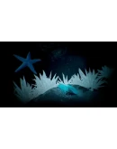 Water Planet Steam КЛЮЧ GLOBAL