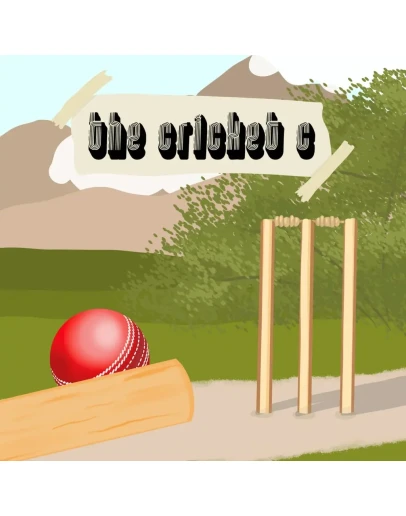 The Cricket C PS5