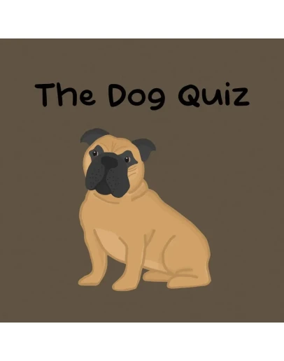 The Dog Quiz PS5 The Dog Quiz PS5