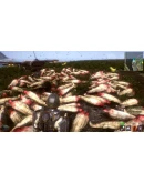 Welcome to Princeland Steam КЛЮЧ GLOBAL Welcome to Princeland Steam КЛЮЧ GLOBAL