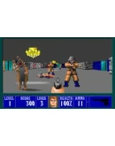 Wolfenstein 3D RU Activated Steam КЛЮЧ RU+CIS Wolfenstein 3D RU Activated Steam КЛЮЧ RU+CIS