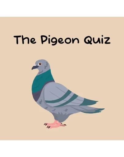 The Pigeon Quiz PS5