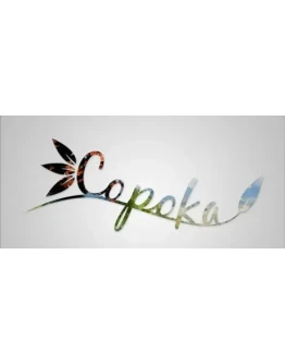 CopokaRegion freeSteam KeyАвтовыдача