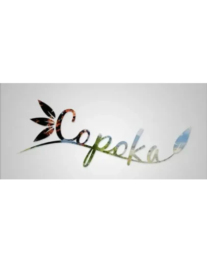 CopokaRegion freeSteam KeyАвтовыдача