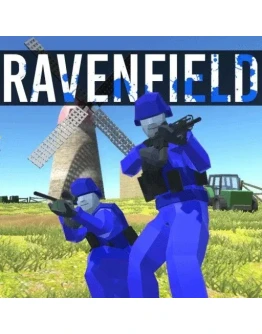 Ravenfield Steam аккаунт