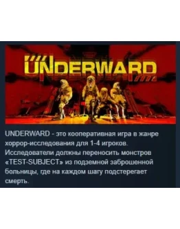 UNDERWARD АВТОДОСТАВКА STEAM РОССИЯ