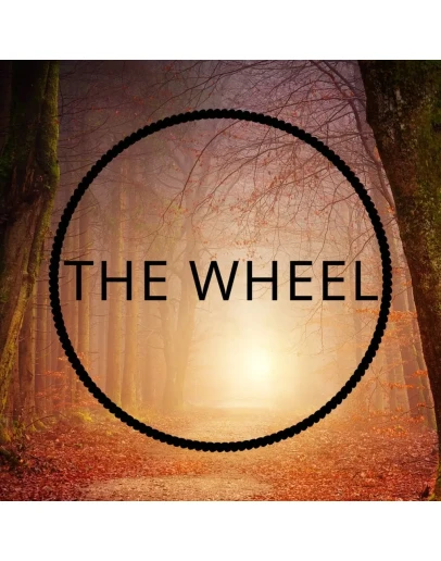 The Wheel PS4 &amp PS5