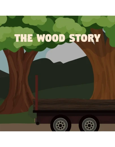 The Wood Story PS5