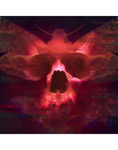 Transient: Extended Edition PS4 &amp PS5