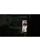 Dream Cage АВТОДОСТАВКА STEAM РОССИЯ