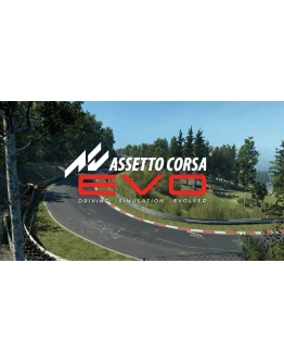Assetto Corsa EVO Steam/Global