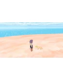 Calico Neat Things (steam key) DLC