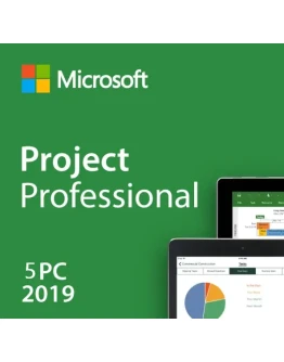 Project Professional 2019 Key 5 PC Instant Delivery