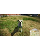 Animal Shelter Steam КЛЮЧ GLOBAL Animal Shelter Steam КЛЮЧ GLOBAL