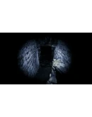 Unnatural Investigations Steam КЛЮЧ GLOBAL