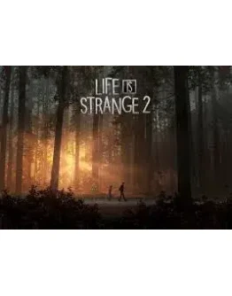Life Is Strange 2 / П3 активация PS4 Life Is Strange 2 / П3 активация PS4