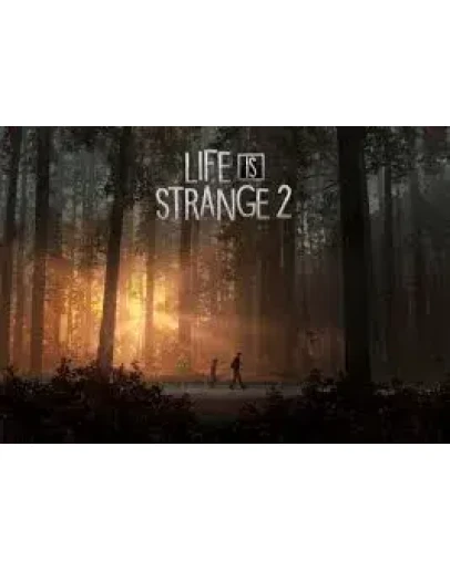 Life Is Strange 2 / П3 активация PS4