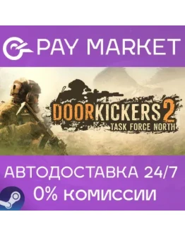 Door Kickers 2: Task Force North АВТО Россия Steam