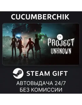 Project UnknownSTEAM GIFT AUTORU+МИР