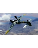 IL-2 Sturmovik: Iron Wind Campaign DLC * STEAM RU