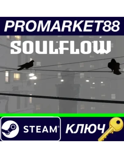 Soulflow Steam КЛЮЧ GLOBAL Soulflow Steam КЛЮЧ GLOBAL