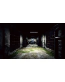 Nightwalker Steam КЛЮЧ GLOBAL Nightwalker Steam КЛЮЧ GLOBAL