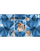 Poly Puzzle: Primates Steam КЛЮЧ GLOBAL