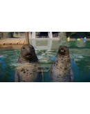 Planet Zoo - Aquatic Pack DLC EU Steam КЛЮЧ ЕВРОПА Planet Zoo - Aquatic Pack DLC EU Steam КЛЮЧ ЕВРОПА
