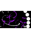 DRUM'N'BASS MASSACRE EU Steam КЛЮЧ ЕВРОПА DRUM'N'BASS MASSACRE EU Steam КЛЮЧ ЕВРОПА