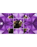 Poly Puzzle: Primates Steam КЛЮЧ GLOBAL