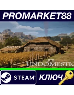 Undomestic Steam КЛЮЧ GLOBAL