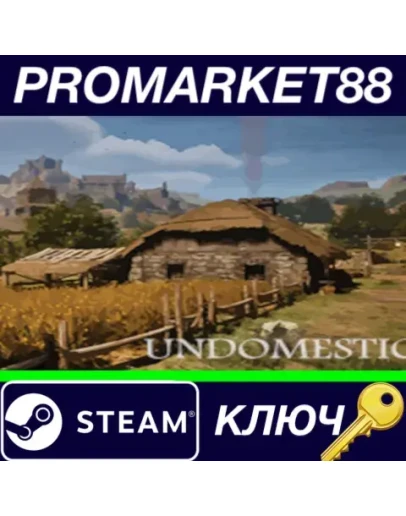 Undomestic Steam КЛЮЧ GLOBAL Undomestic Steam КЛЮЧ GLOBAL