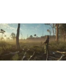 theHunter: Call of the Wild - Greenhorn Bundle Steam