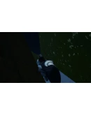 Plagueborn Survivor VR Steam КЛЮЧ GLOBAL