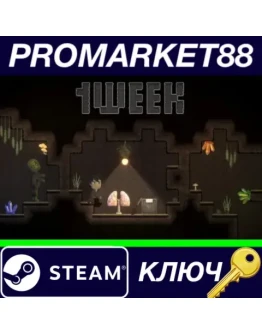 1WEEK Steam КЛЮЧ GLOBAL 1WEEK Steam КЛЮЧ GLOBAL
