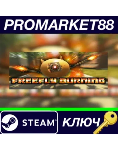 FreeFly Burning Steam КЛЮЧ GLOBAL