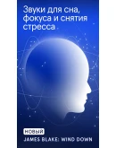 Endel Подписка 1/12/ мес. на Ваш аккаунт Endel Подписка 1/12/ мес. на Ваш аккаунт