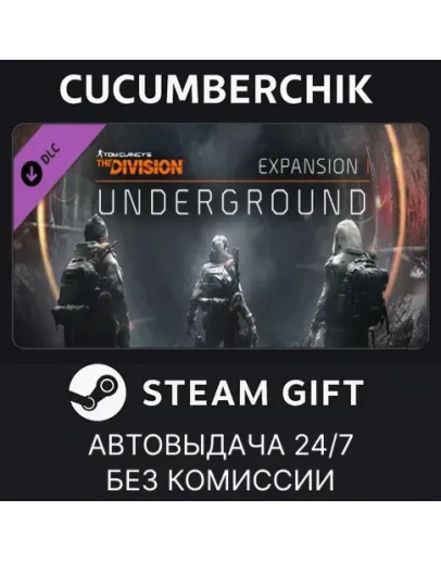 Tom Clancy's The Division - UndergroundSTEAM GIFT AUTORU+МИР