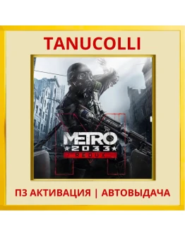 Metro 2033 Redux (PS5/RU) П3 Активация