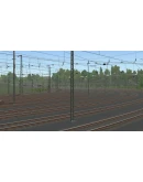 ZUSI 3 Aerosoft Edition EU Steam КЛЮЧ ЕВРОПА