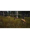 Way of the Hunter EU Steam КЛЮЧ ЕВРОПА Way of the Hunter EU Steam КЛЮЧ ЕВРОПА